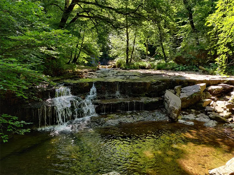 Bárcena Mayor con niños